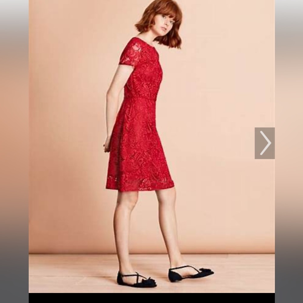 Brooks Brothers Floral Lace Dress